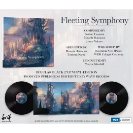 Fleeting Symphony (Vinyl)