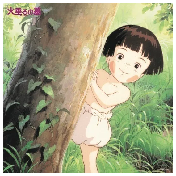 Grave Of The Fireflies  (Vinyl)