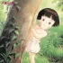 Grave Of The Fireflies  (Vinyl)