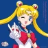 Sailor Moon - the 30th Anniversary Memorial Album (Vinyl)